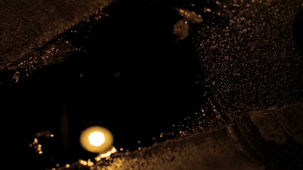 A Night for the Senses