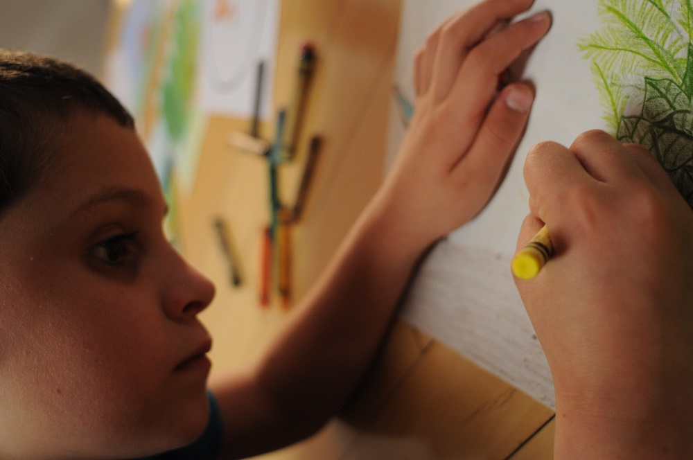 Panthera Tigris Tigris