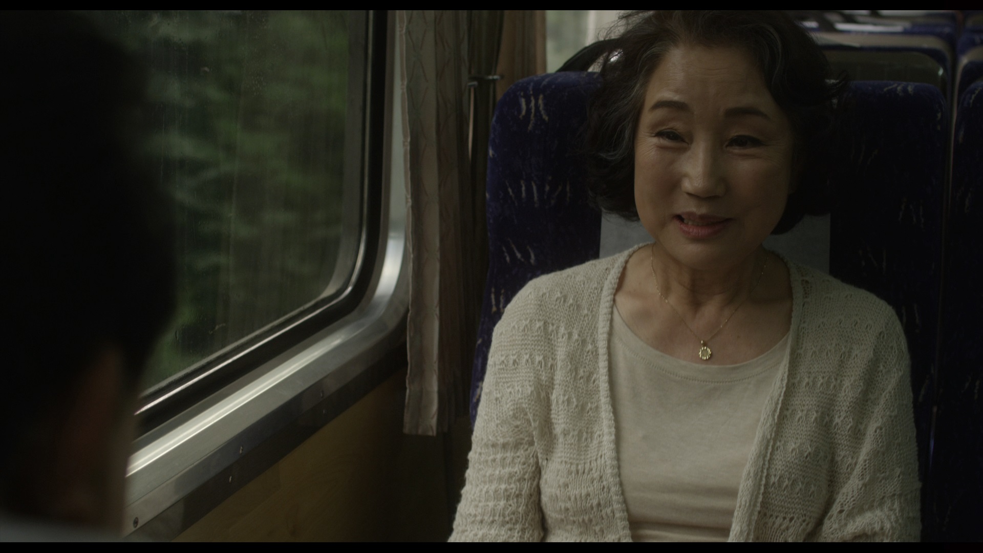 Old Lady in the Train