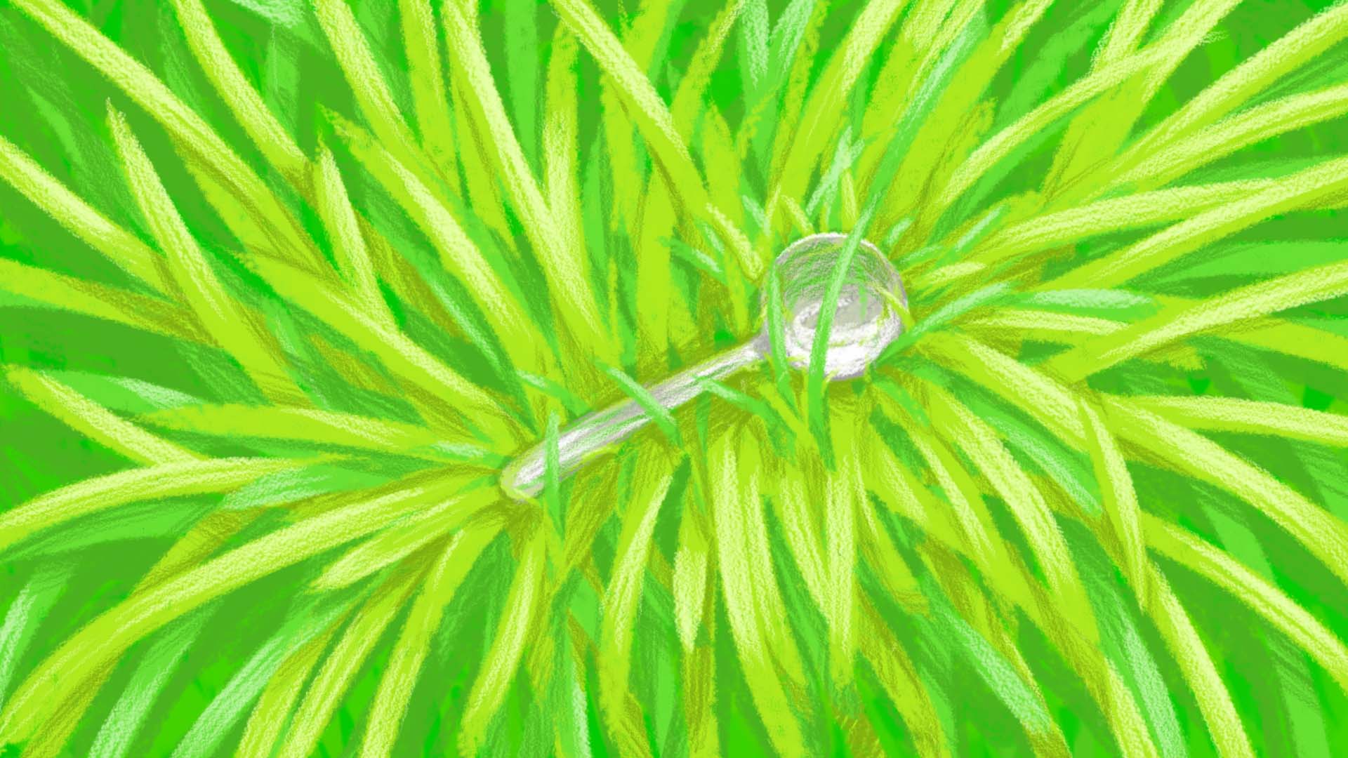 Spoon