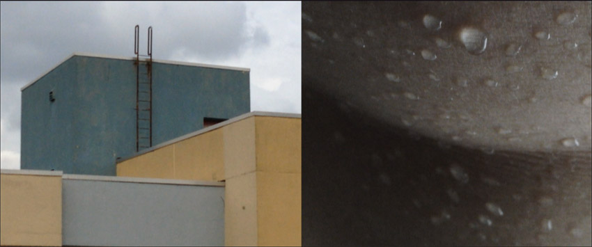 Impact of this City Is Not the Pulse of My Heart