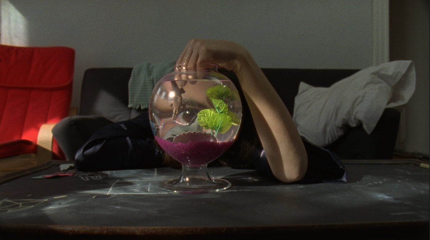 Skinny Fries Left Over