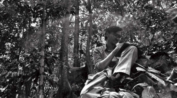 Rain is Falling Down