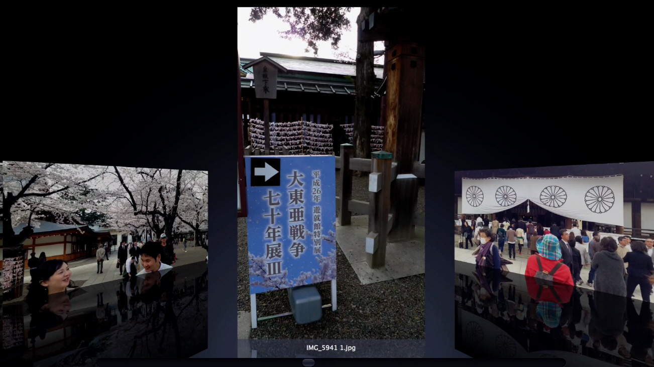 Echoes of Cherry Blossoms