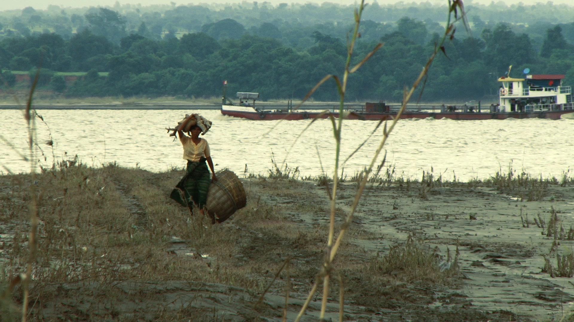 This Land Is Our Land