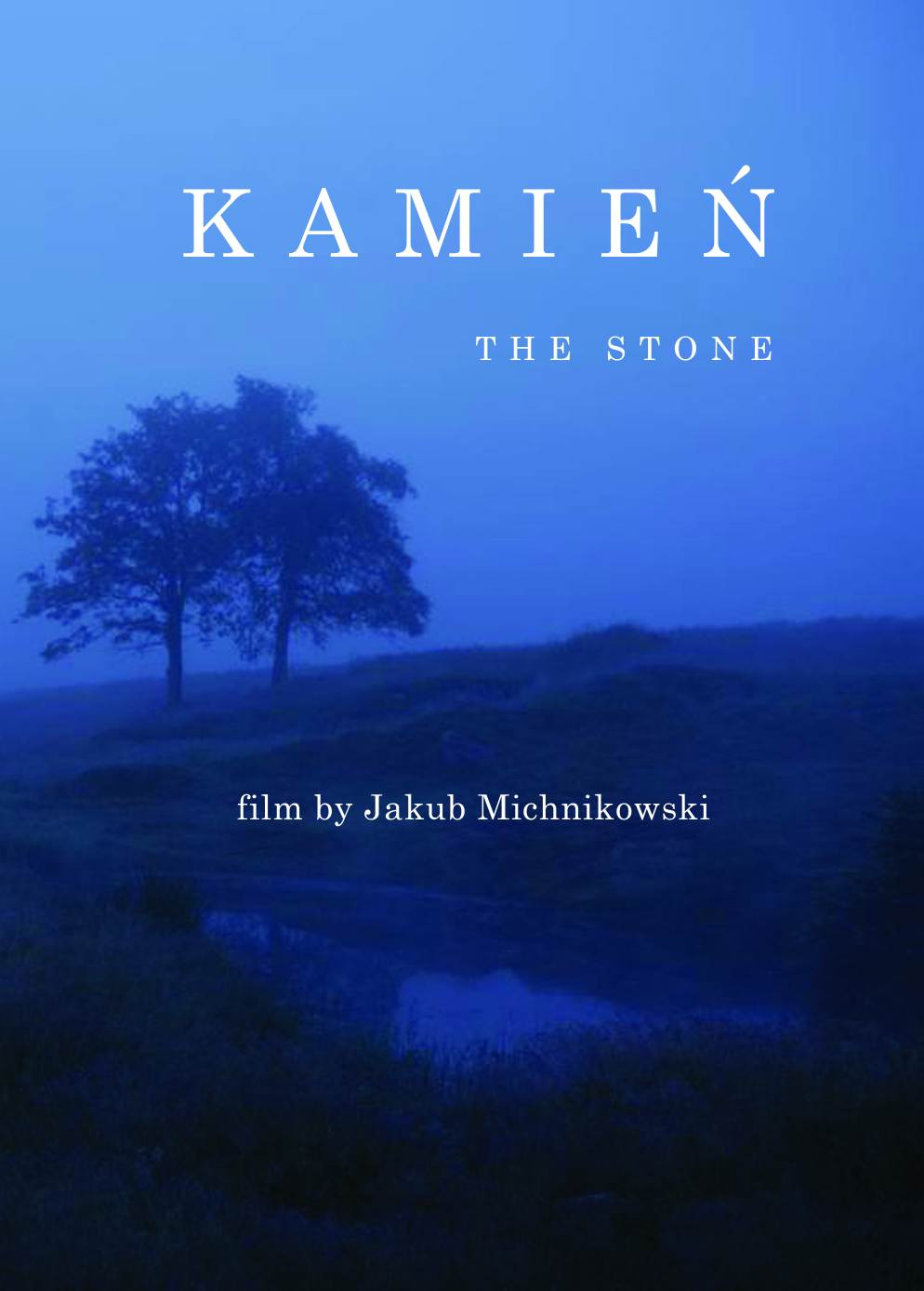 Kamien
