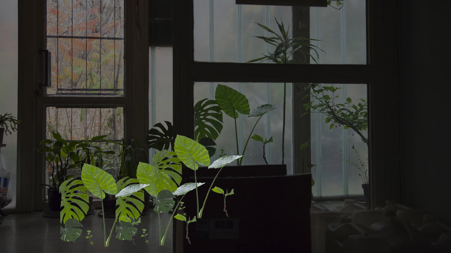 Noise For A Silent Movie