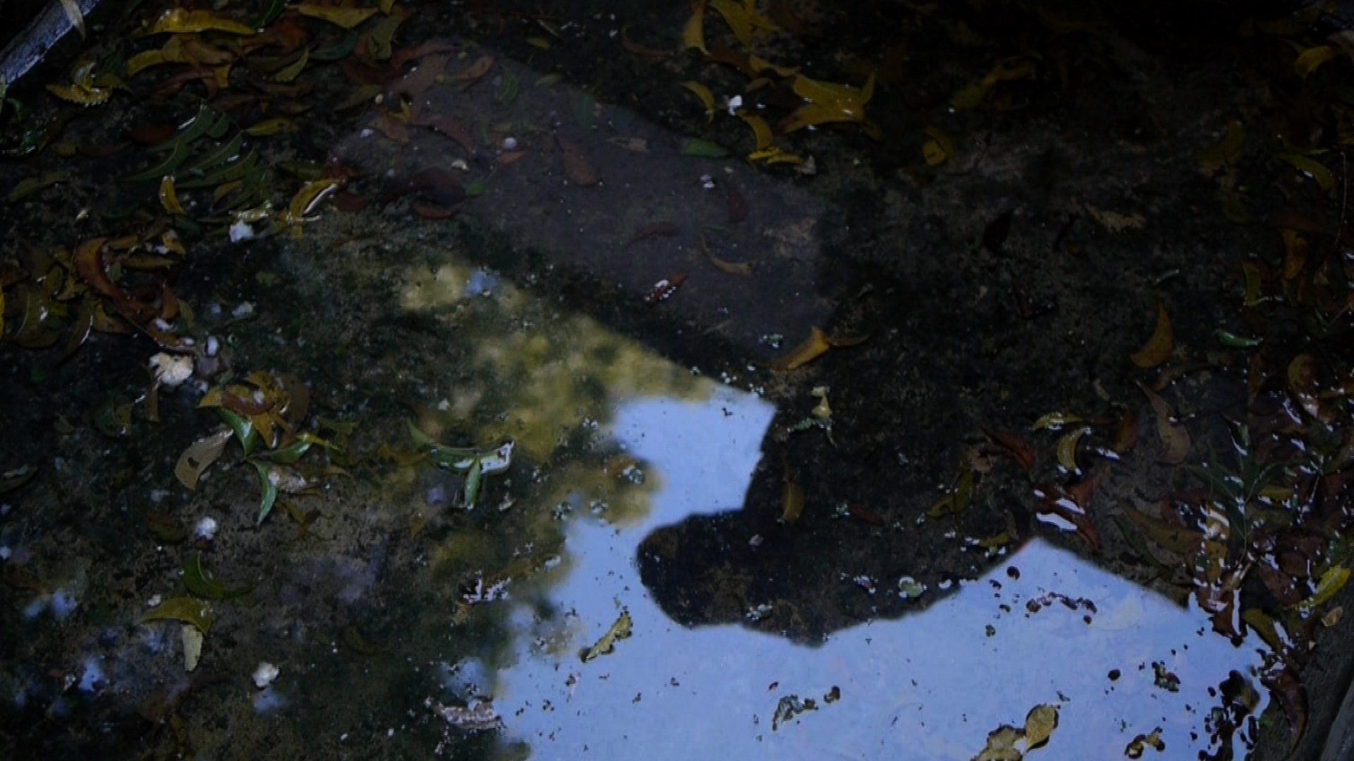 Ombre de Ratsitatane