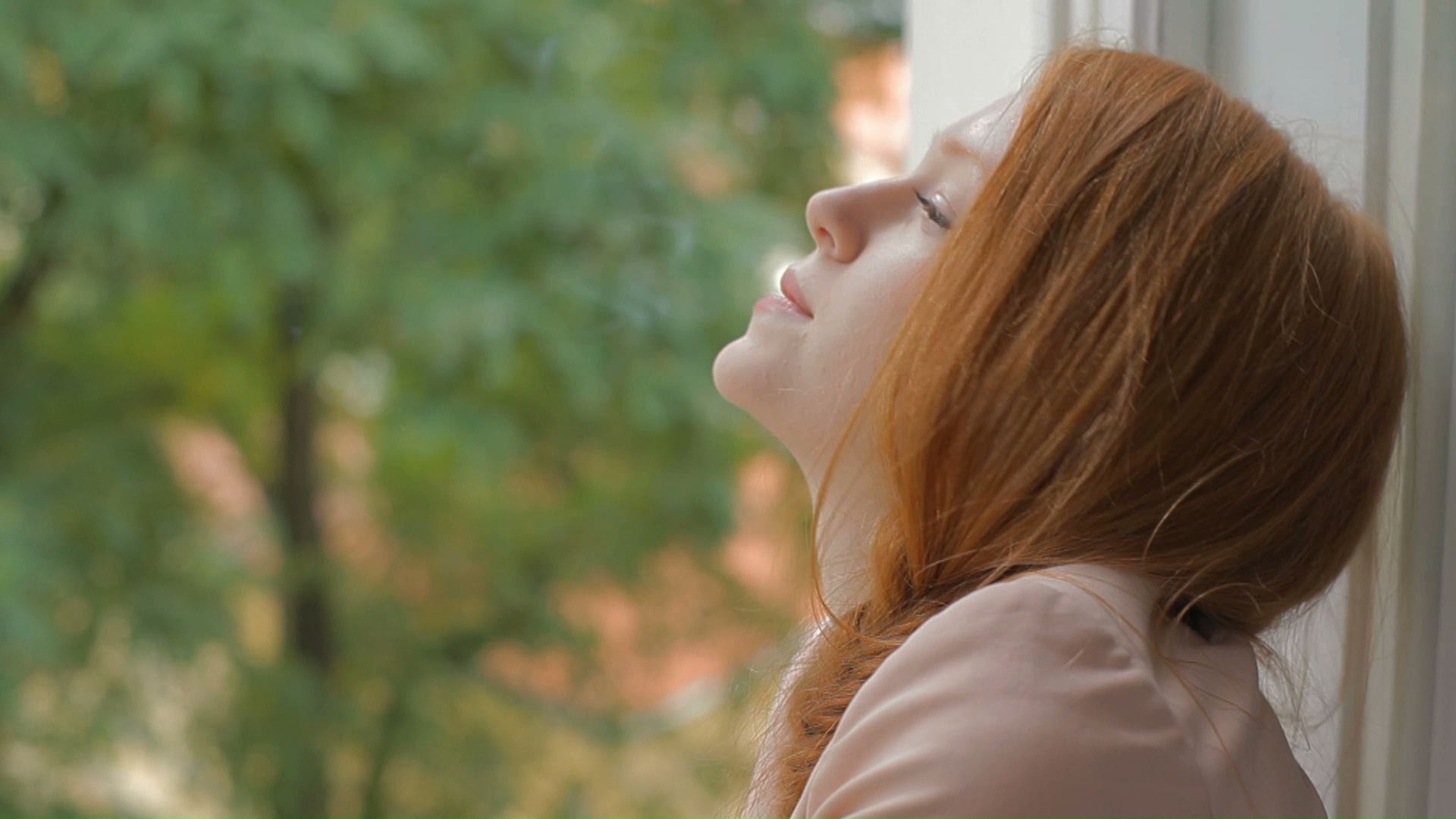 Hodina Mezi Psem a Vlkem