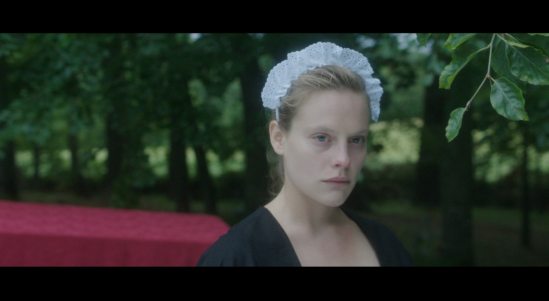 Moonkup, les noces d'Hémophile