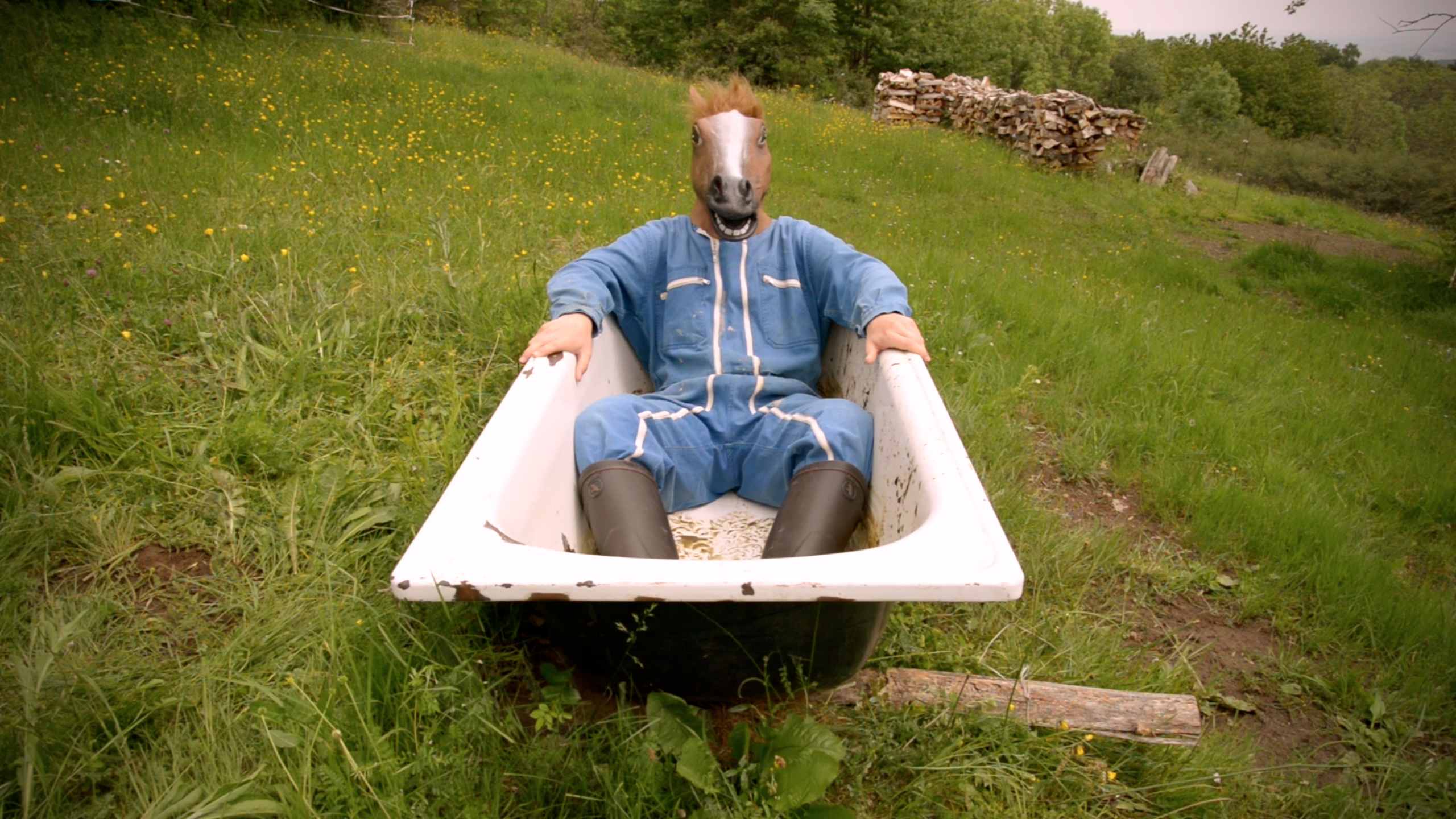 Dissertation panoptique