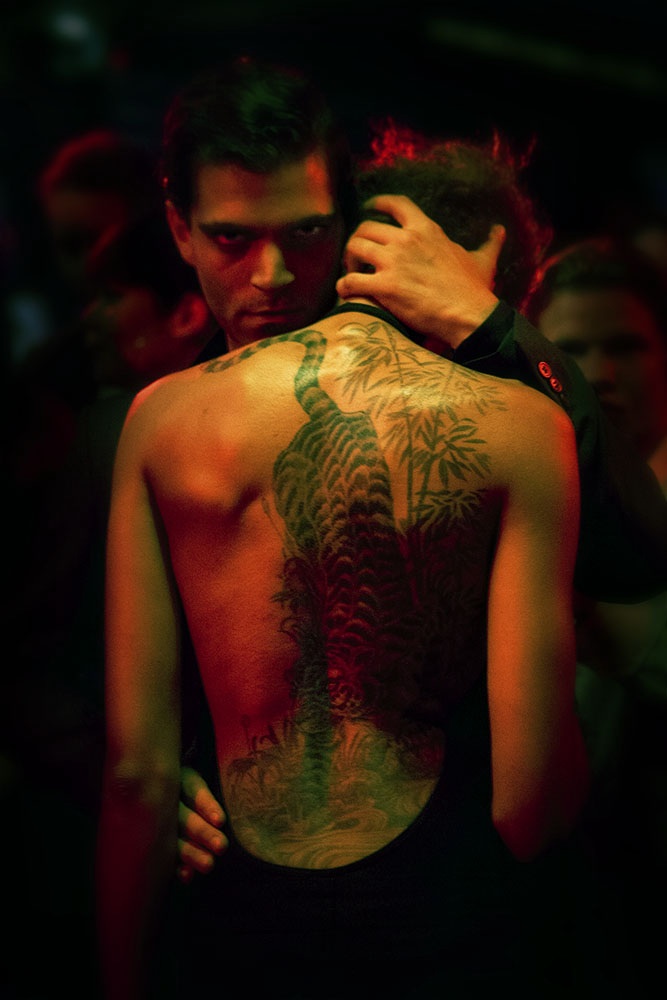 Chronique de la jungle