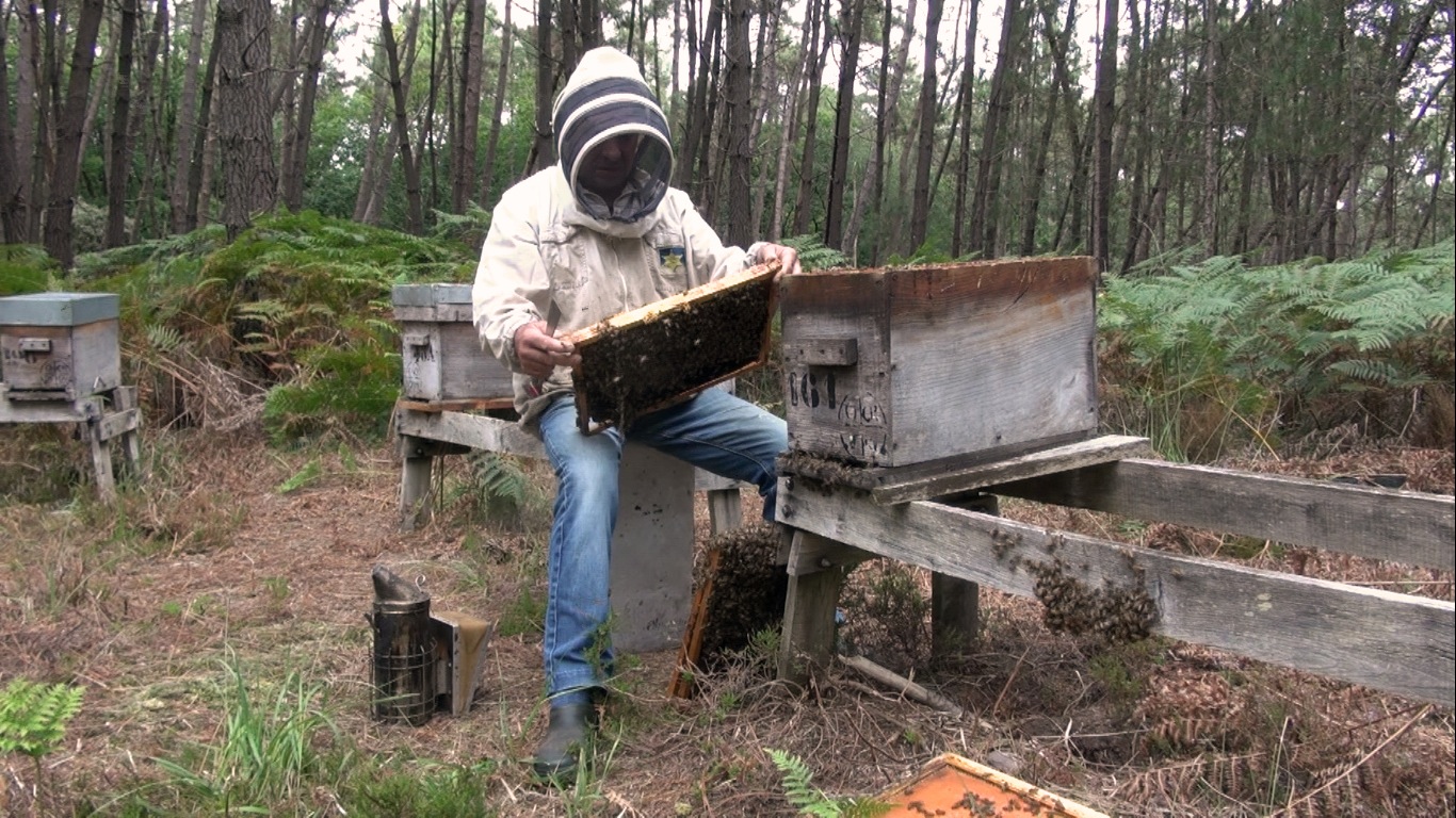 Tout devient silencieux