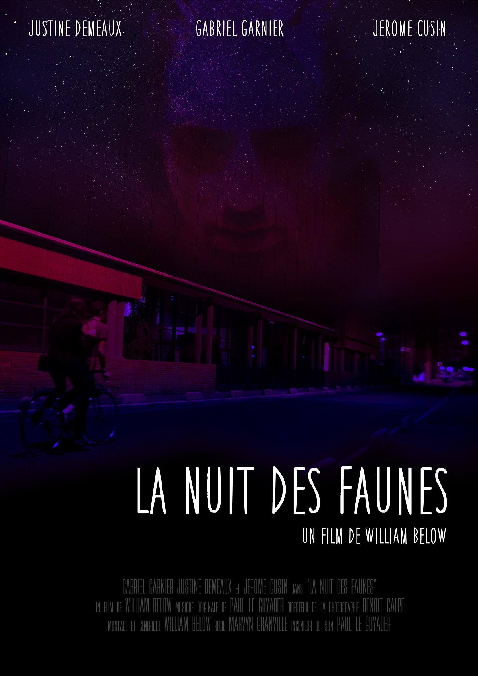 Nuit des faunes