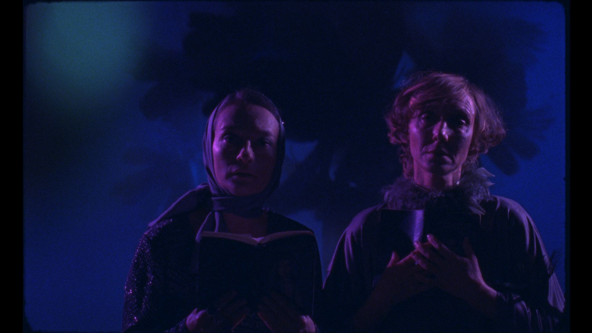 Notre Dame des Hormones