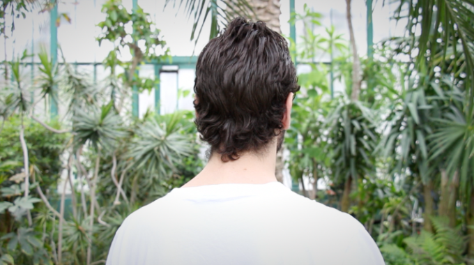 Dôme des coléoptères