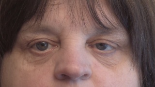 Un gâteau ou une tarte