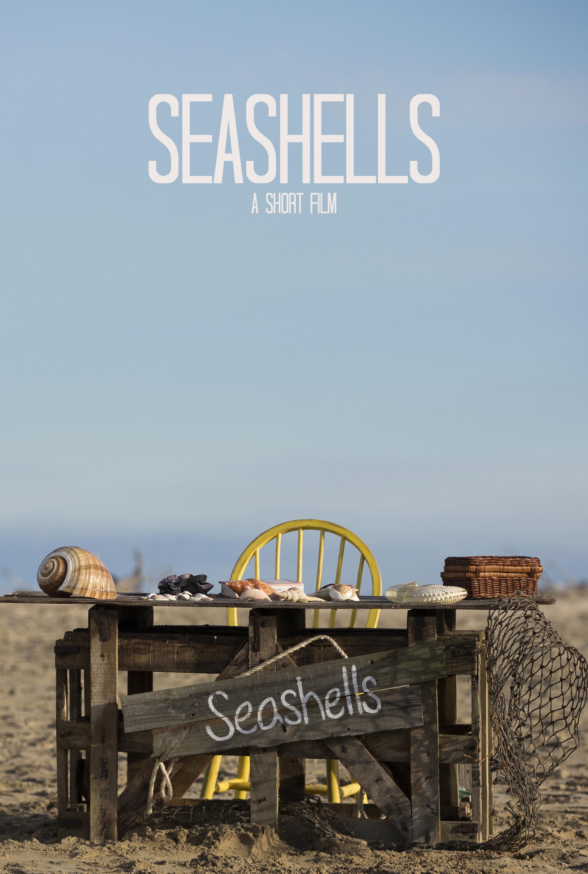 Seashells
