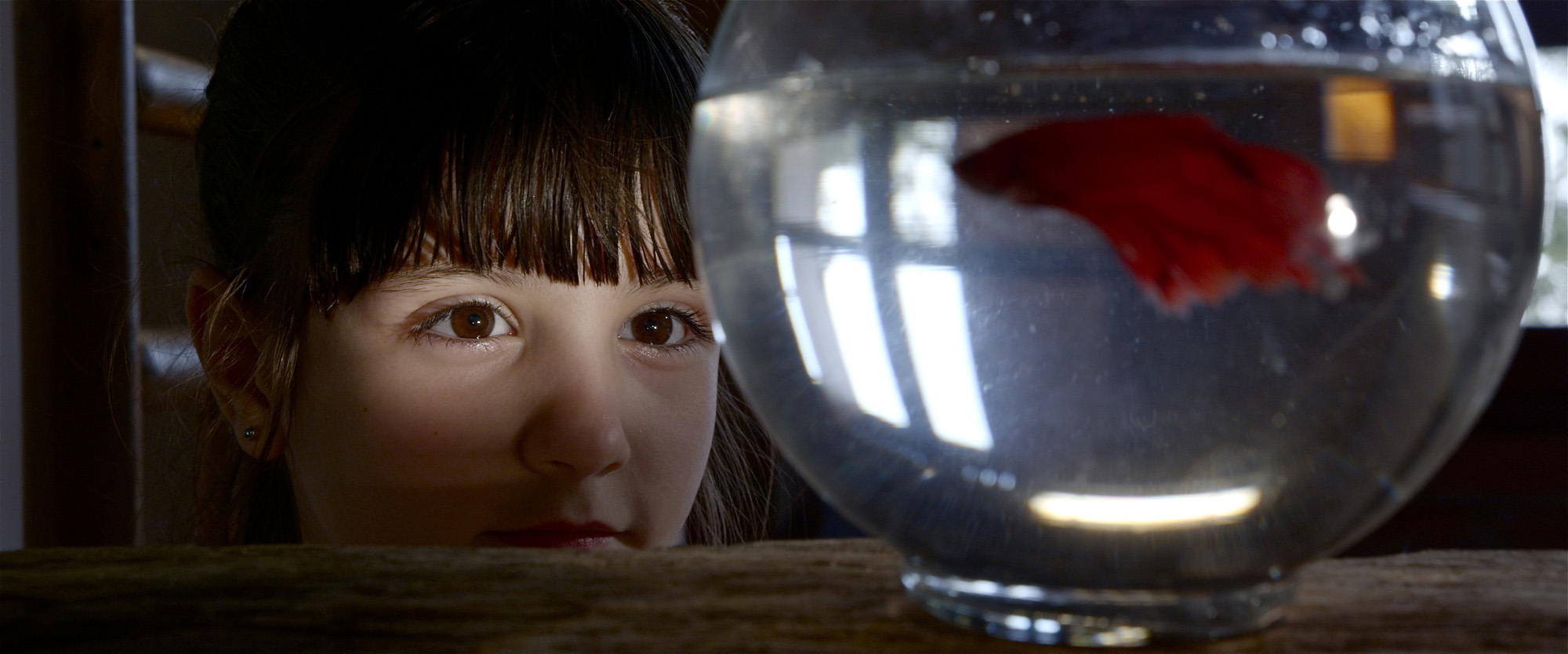 Glass