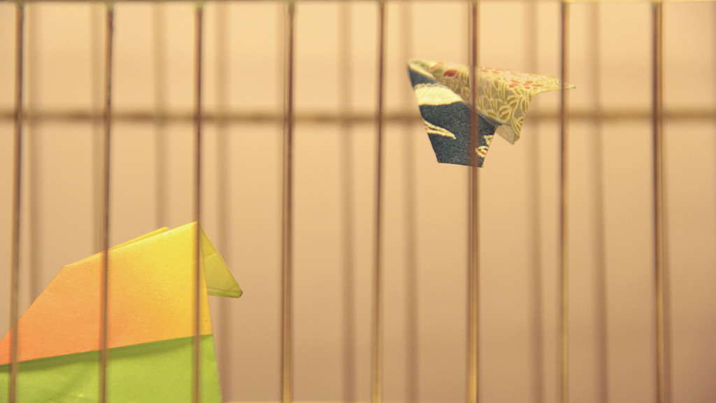 Clipped Wings