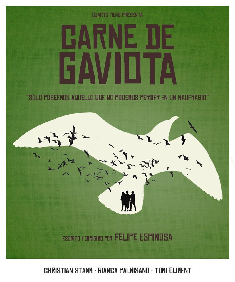 Carne de Gaviota