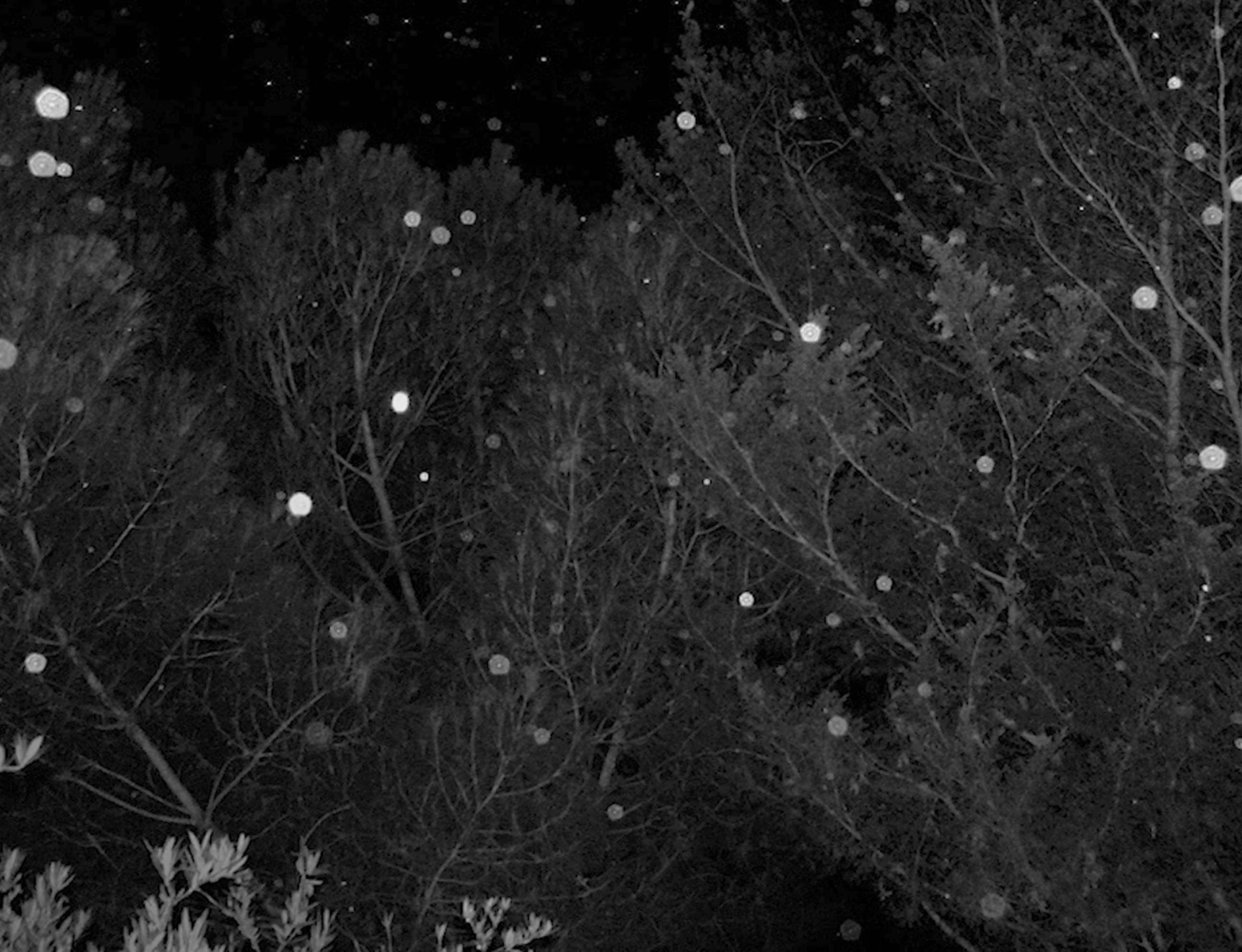 Four postcards to Marta