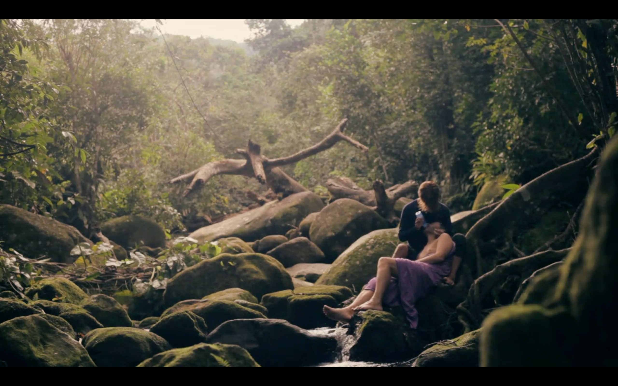 Par ce chemin descendent les ombres