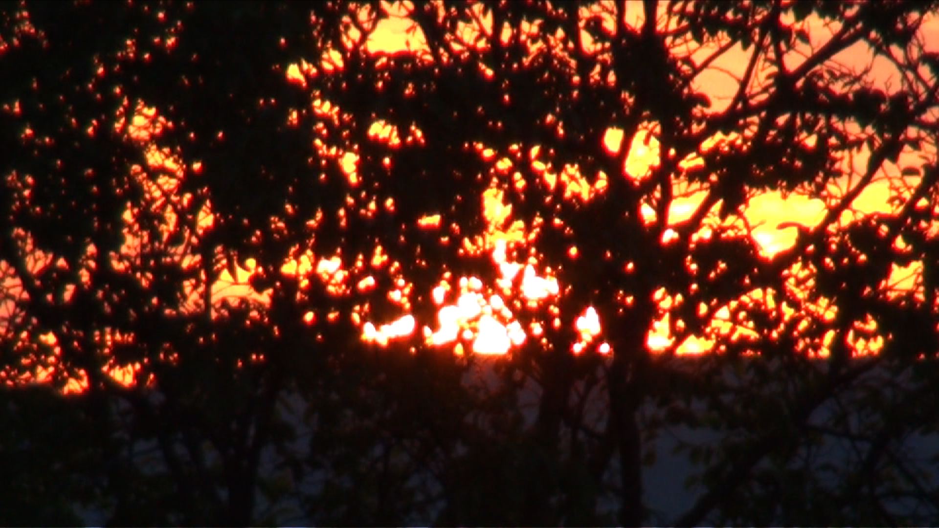 Discours d'un témoin