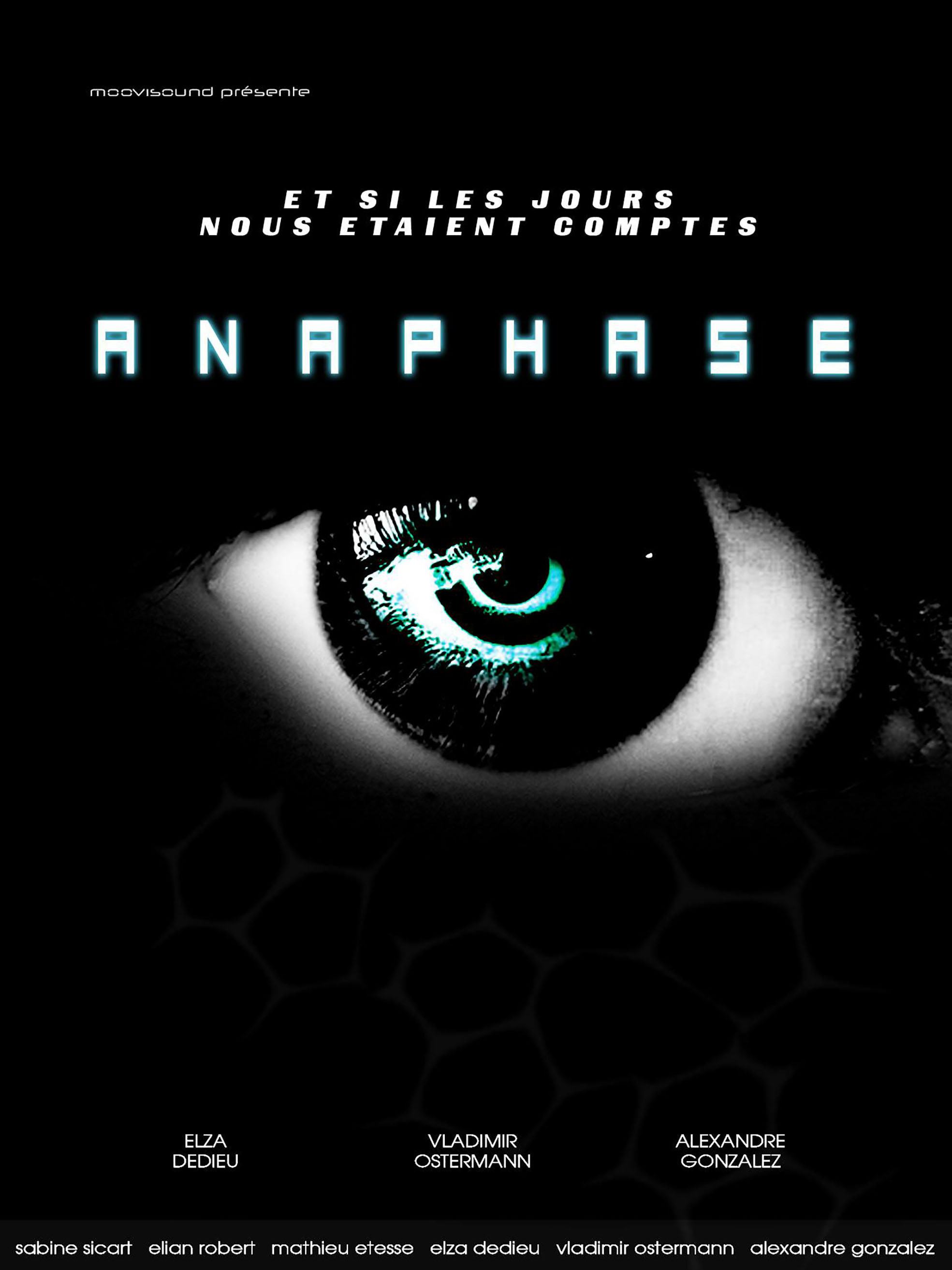 Anaphase