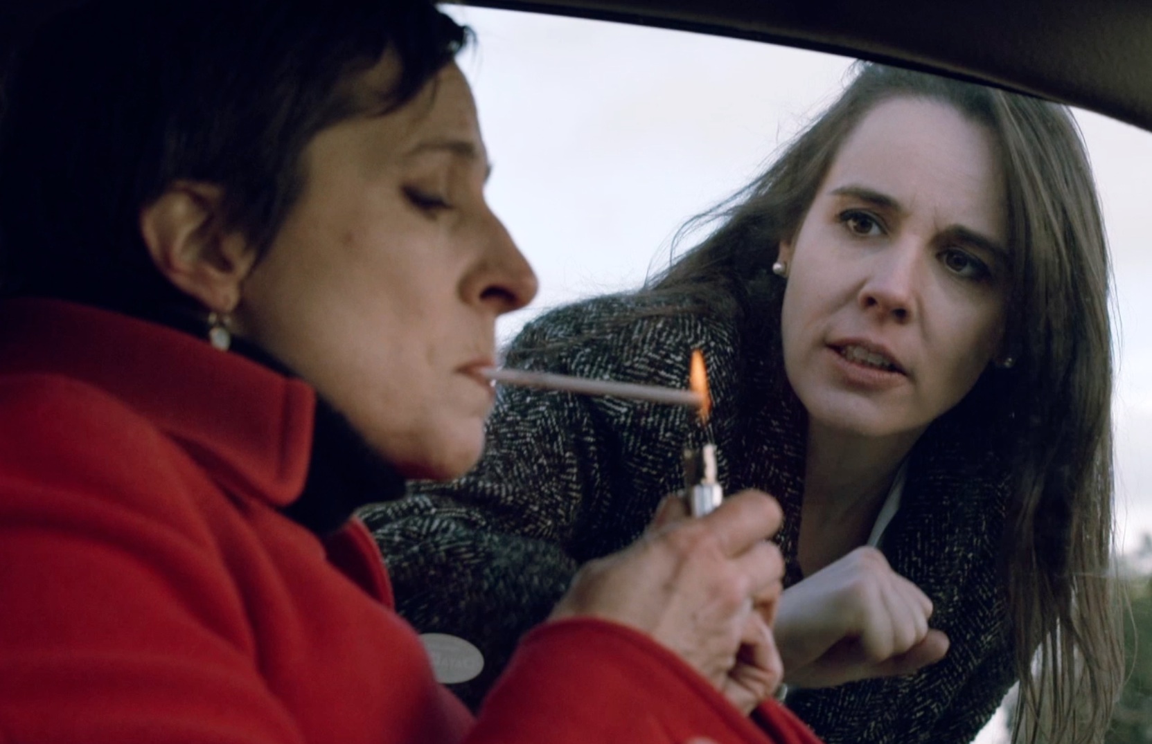 Calamités Caustiques