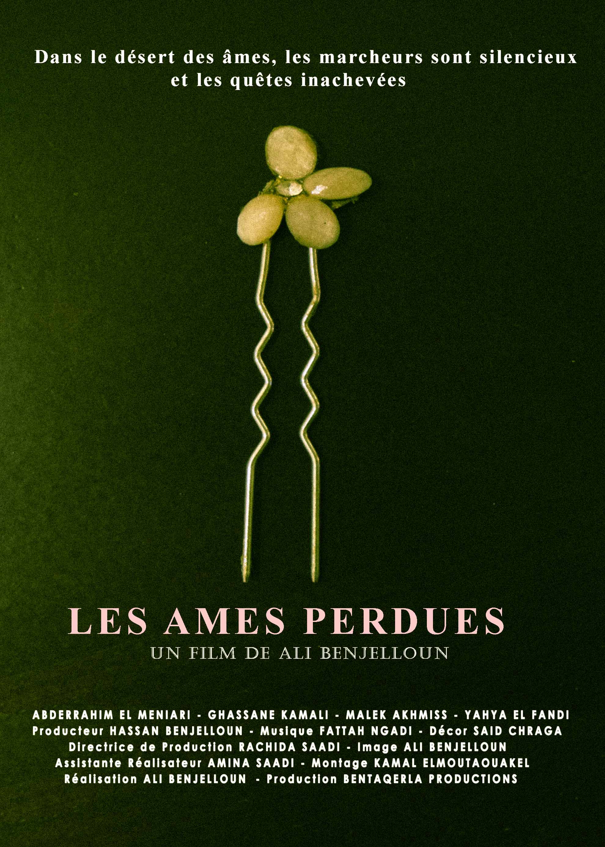 Ames Perdues