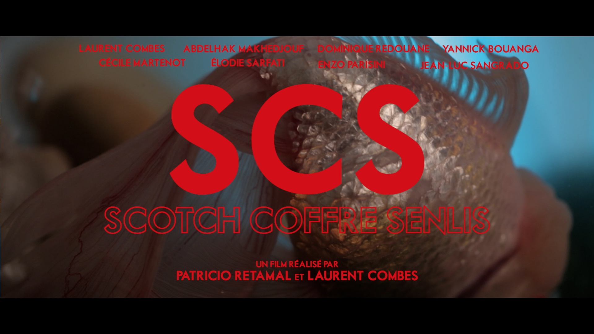 SCS Scotch Coffre Senlis
