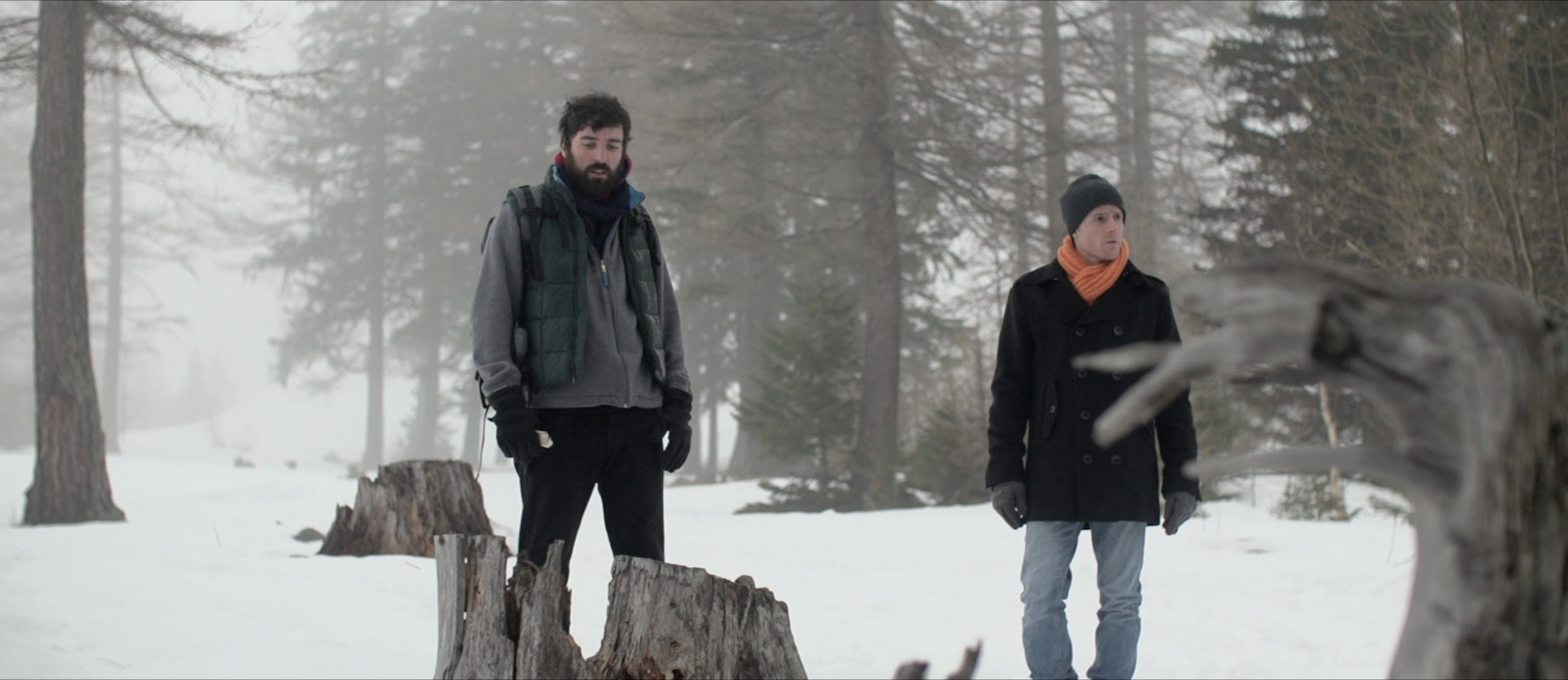 Avalanches