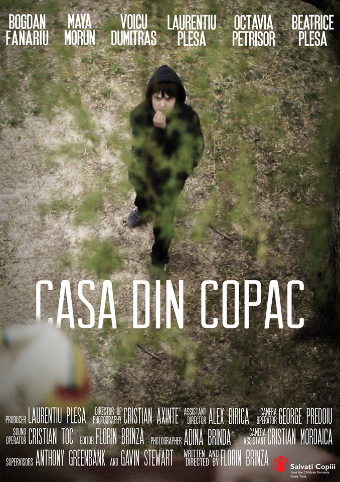 Casa din copac