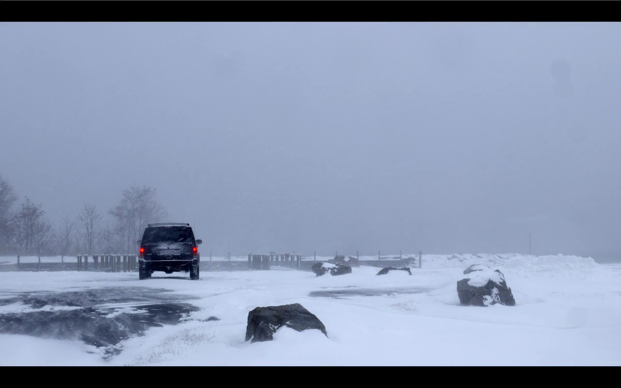 cold fish