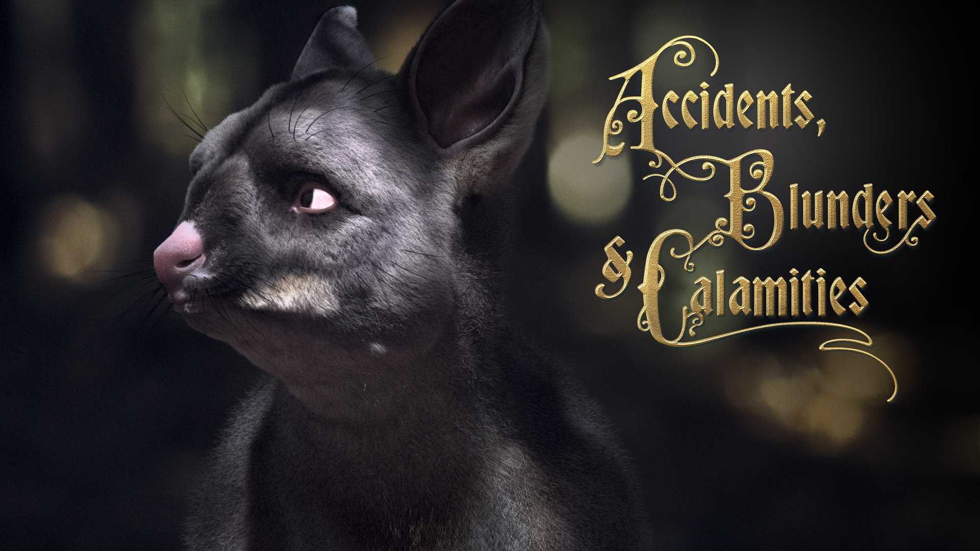 Accidents, Blunders and Calamities