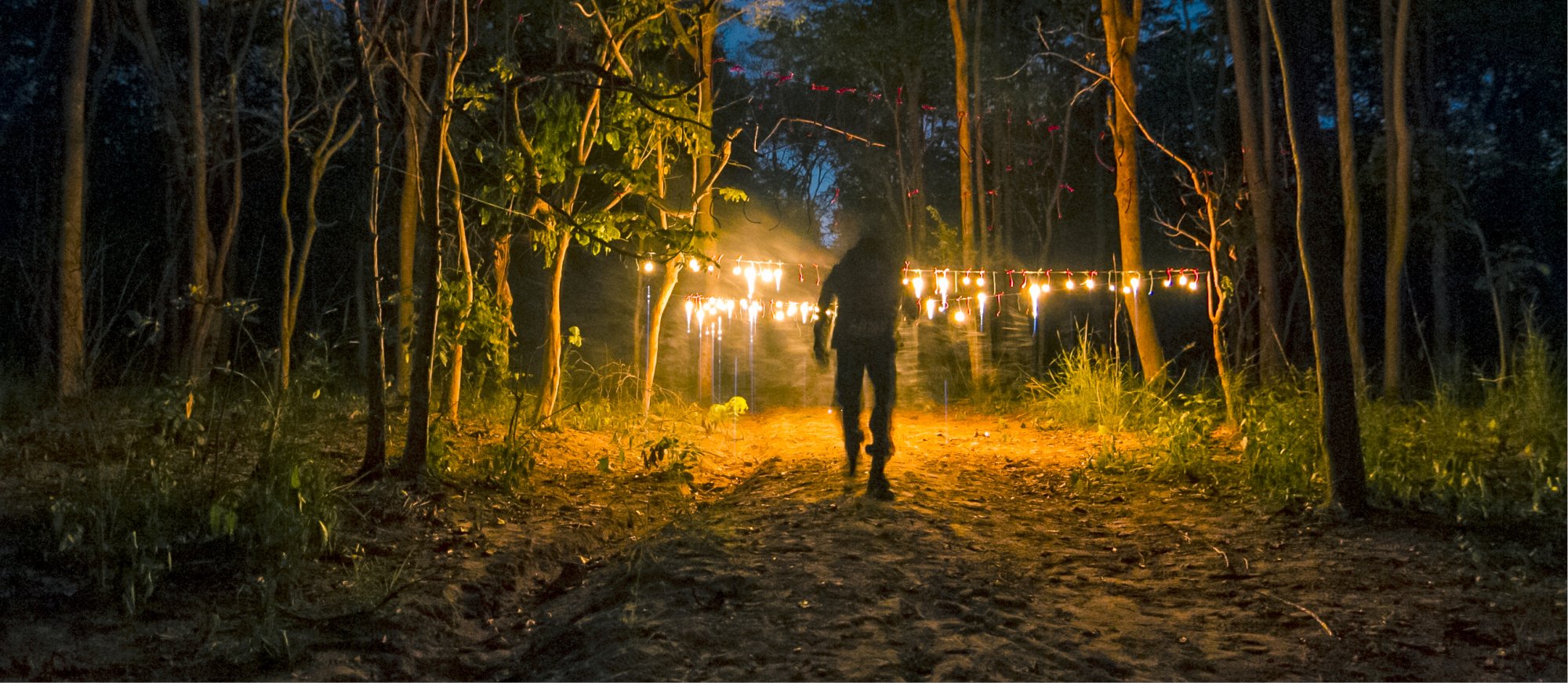 Boys are back in town