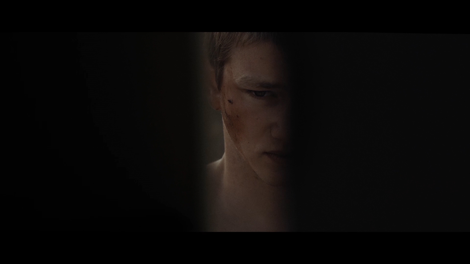 Bêtes errant sous les feuilles de laurier