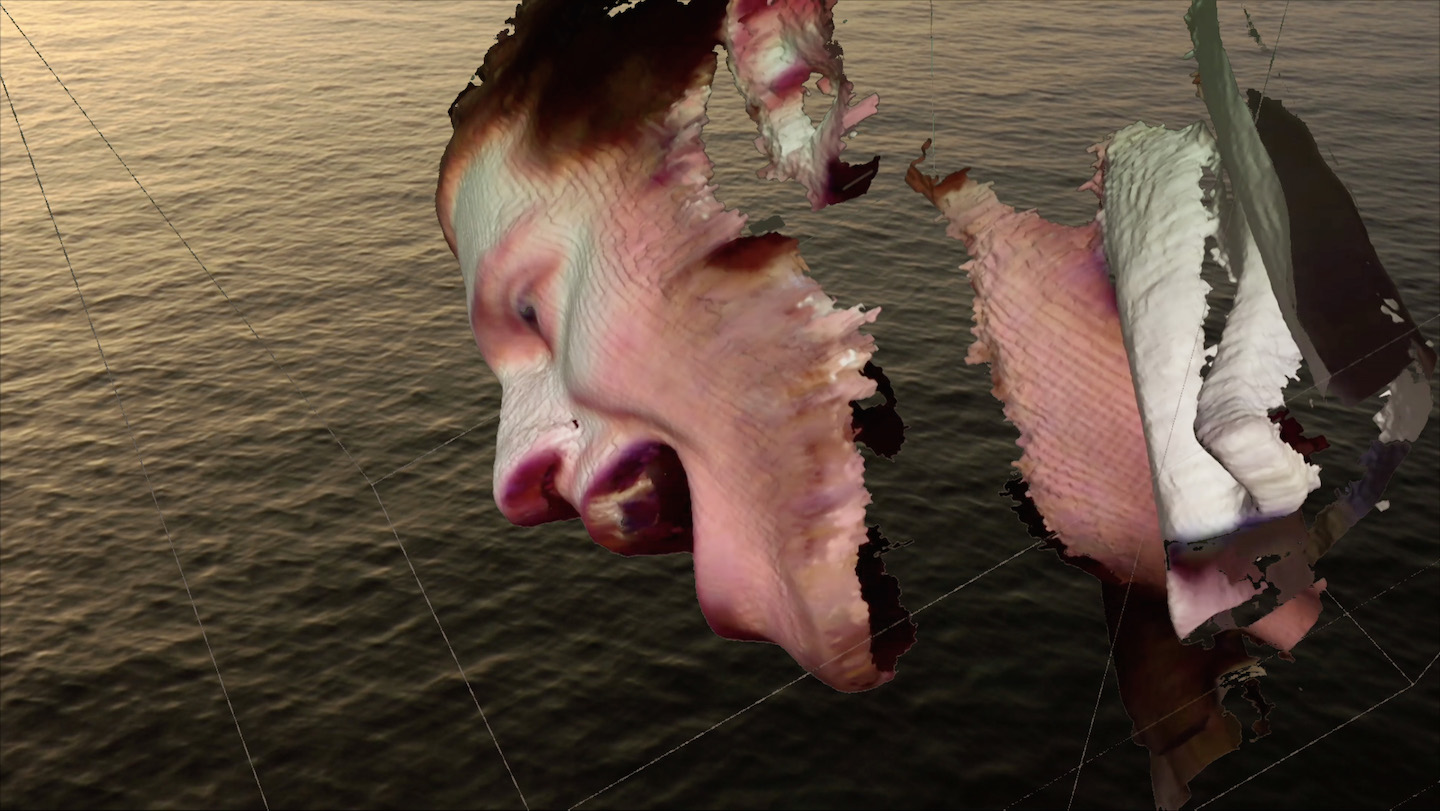 Veni Vidi Nescio (I Came, I Saw, I Don't Know)