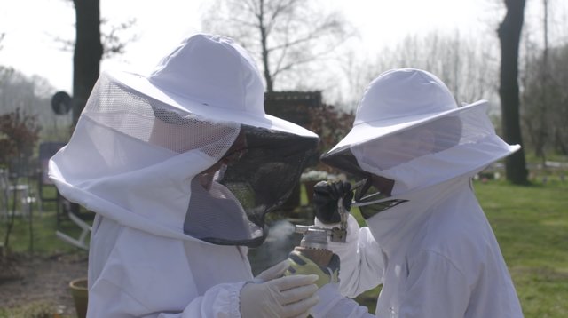 Pien de bijenkoningin