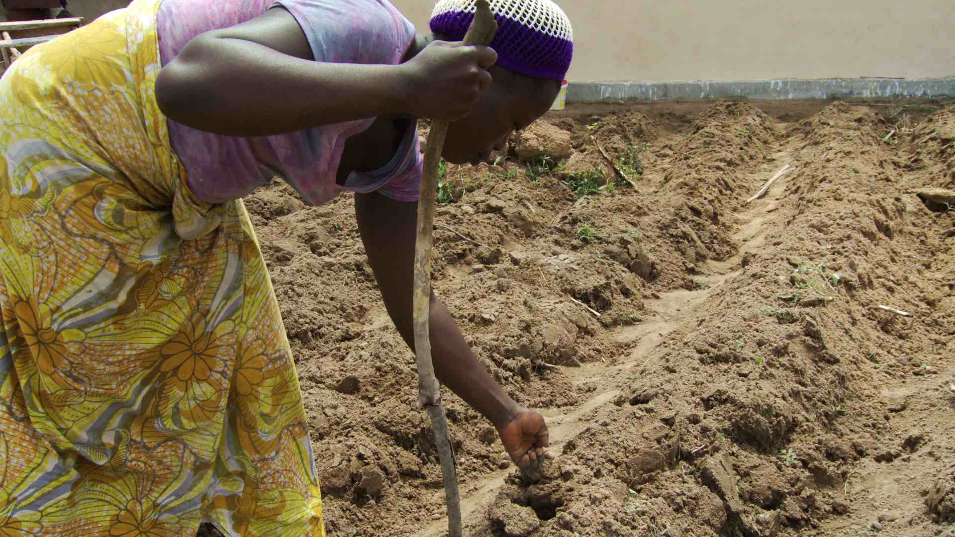 A Koutagou, à Liré, la terre n'a pas de prix
