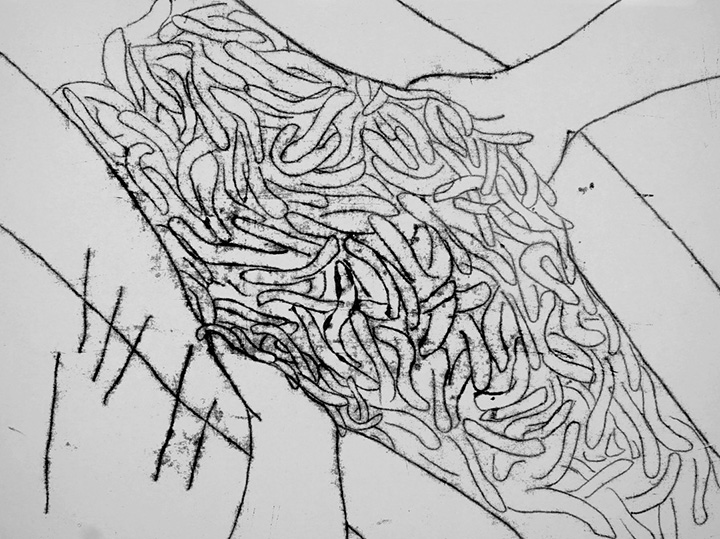 Women & Earth Series (the Fall, The Hole, The Doe)