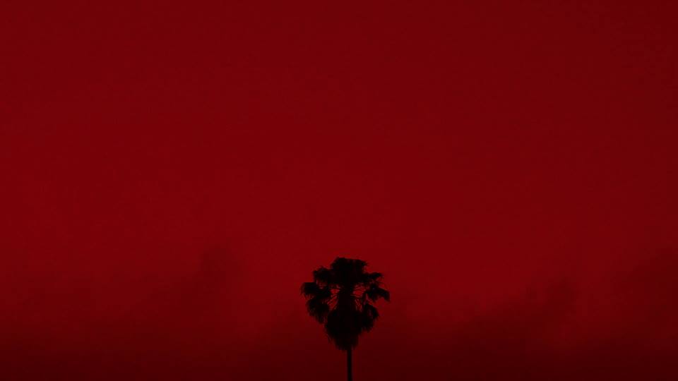 Perfection Is Forever