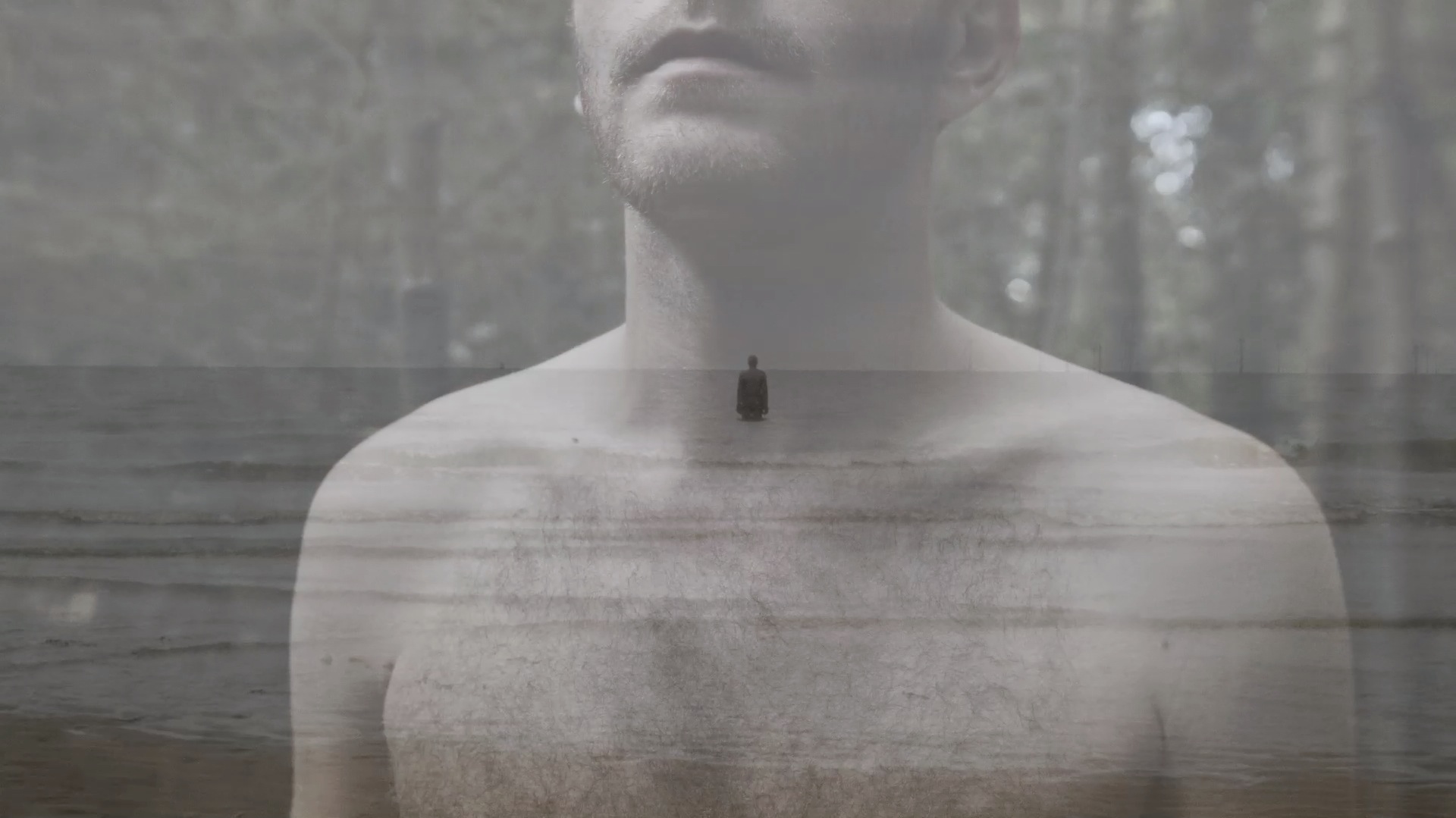 Dream Life of Debris