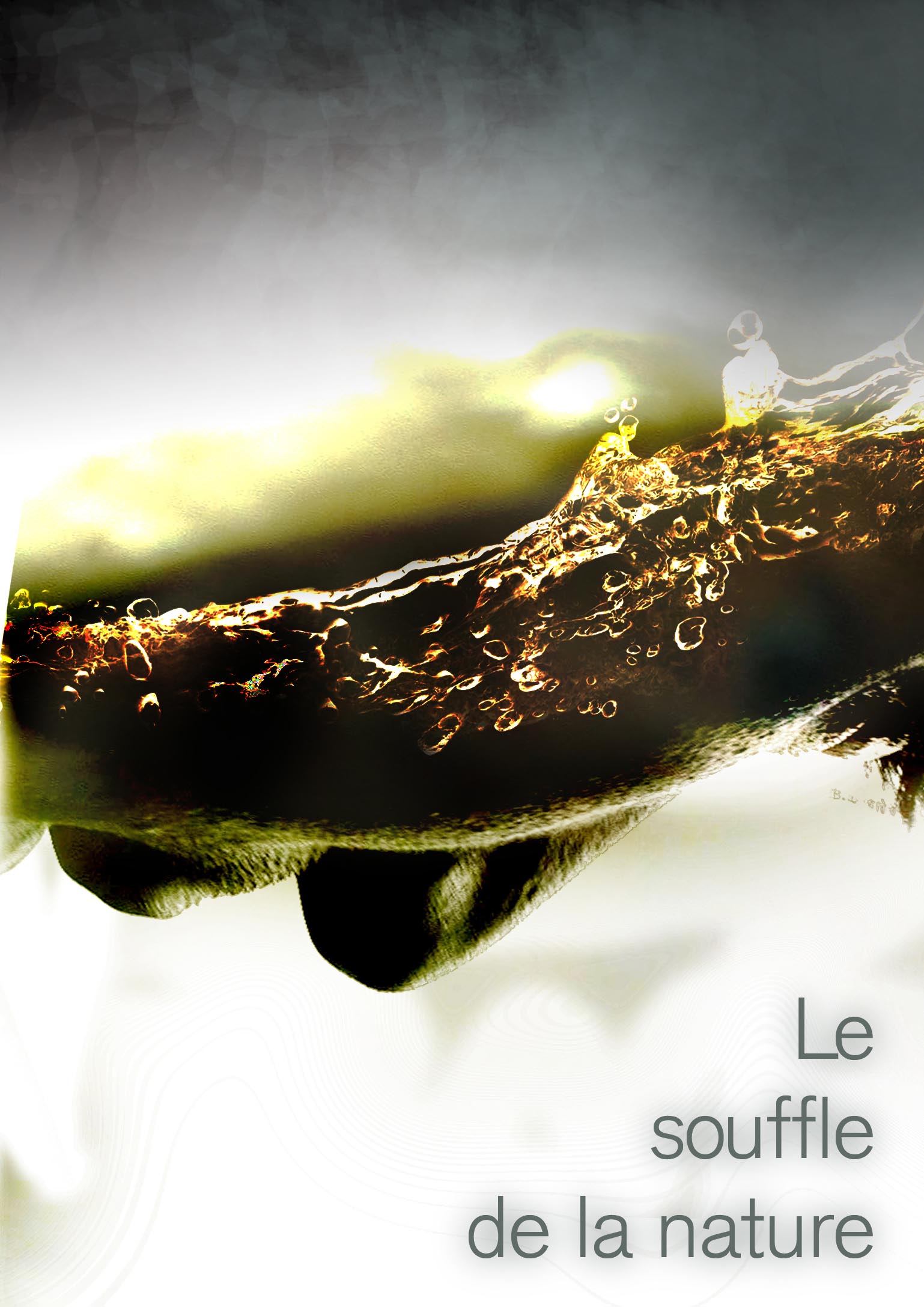 Souffle de la nature - Variation