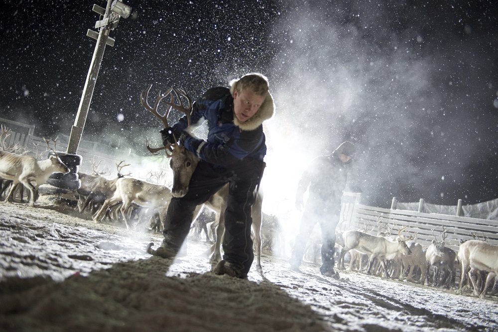 Sámi Bojá