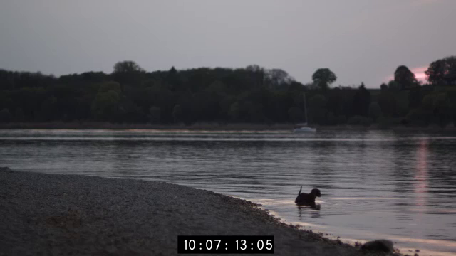 Thoughts on meditation - part one: dog on a beach