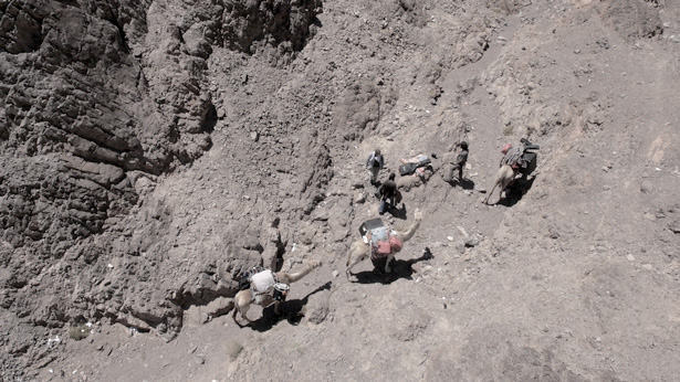 A journey through the howling sands