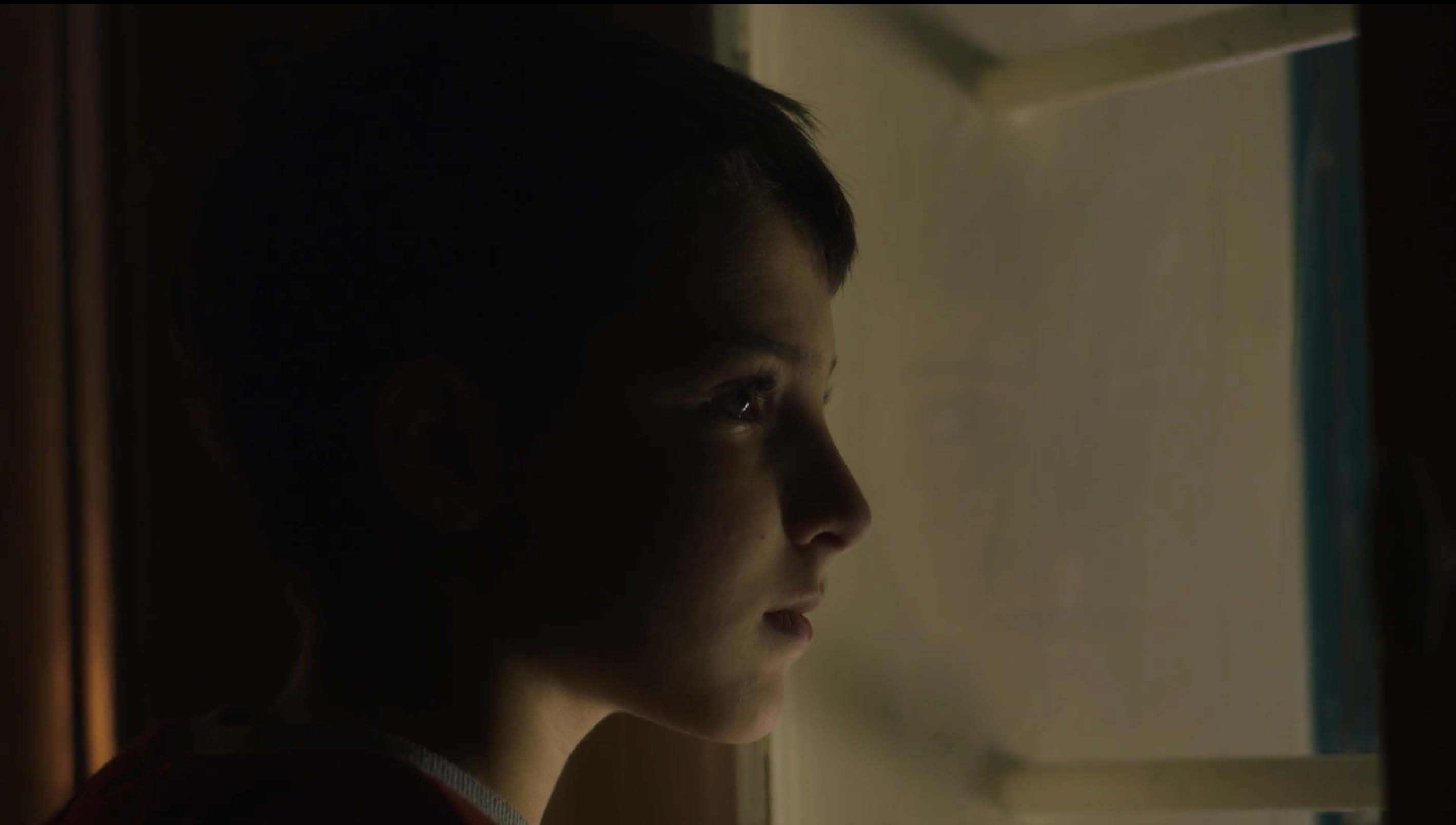 Rifle, The Jackal, The Wolf And The Boy