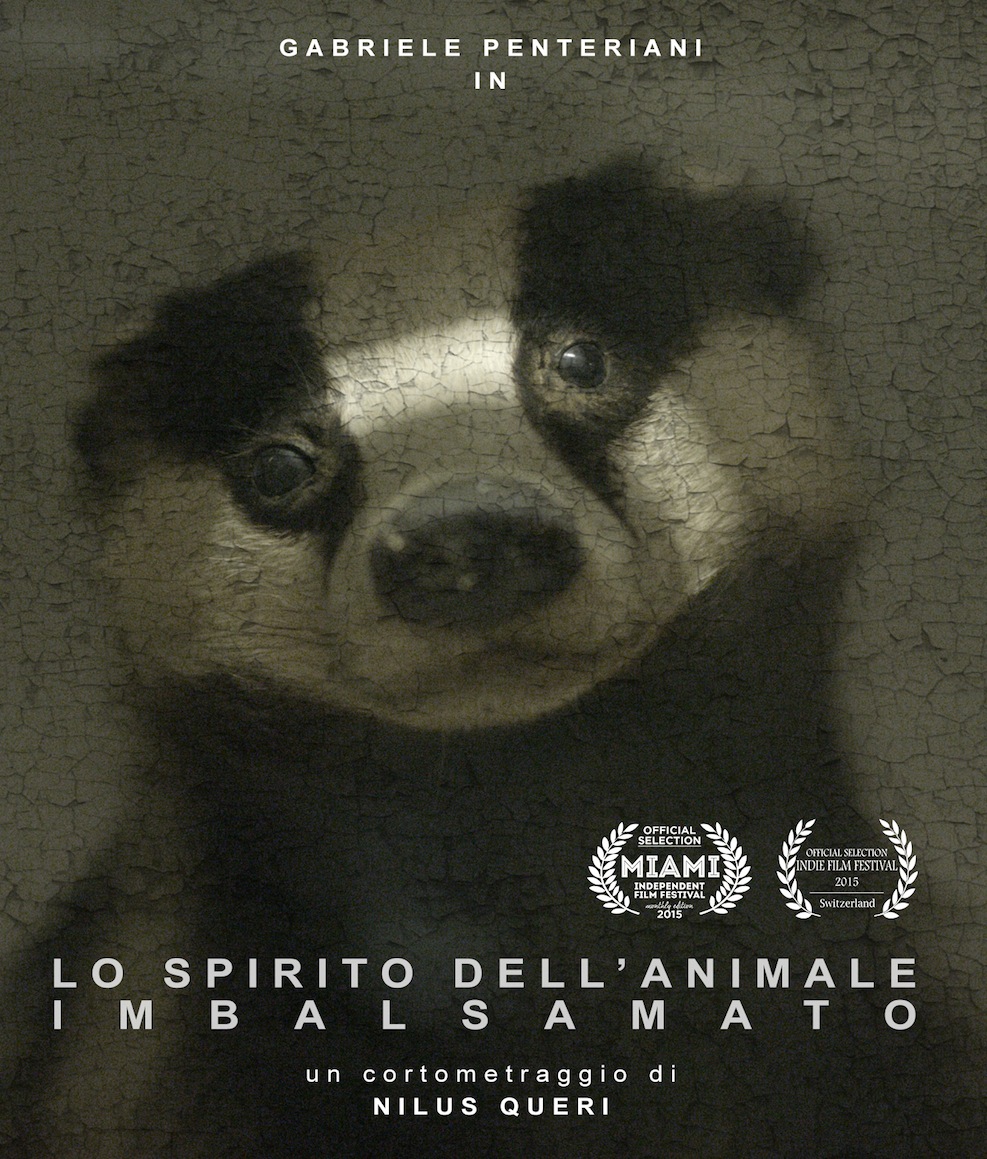 Spirito Dell'Animale Imbalsamato